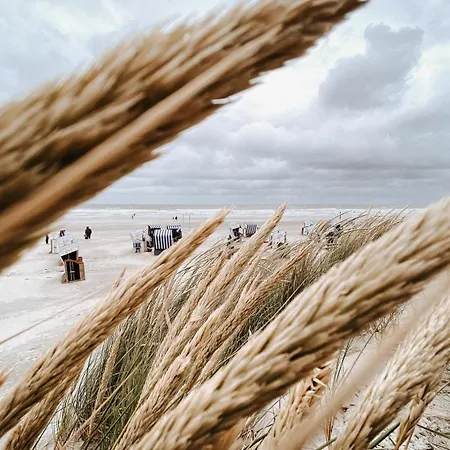 Apartment Nordstrandperle Ap S6