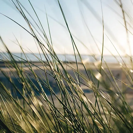 Nordstrandperle Ap S6