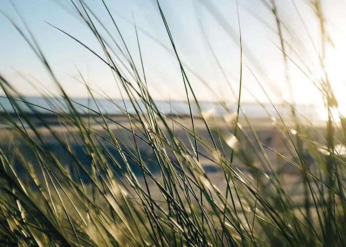 Nordstrandperle Ap S6